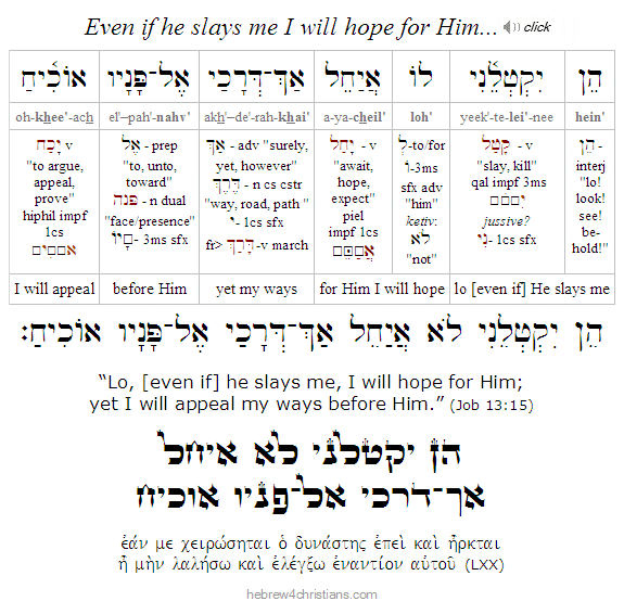 Job 13:15 Hebrew Lesson