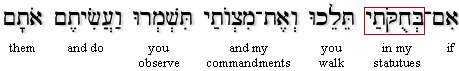 Leviticus 26:3