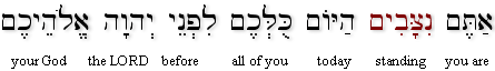 Deut 29:10 (BHS)