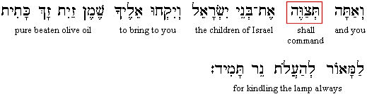 Exodus 27:20
