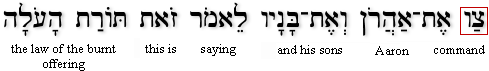 Leviticus 6:9[2h]