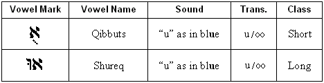U-type Vowels