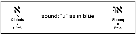 U-Type vowels