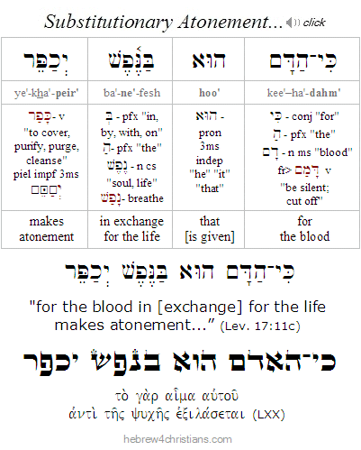 Lev. 17:11c Hebrew Analysis