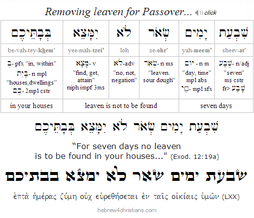 Exod. 12:19a Hebrew lesson