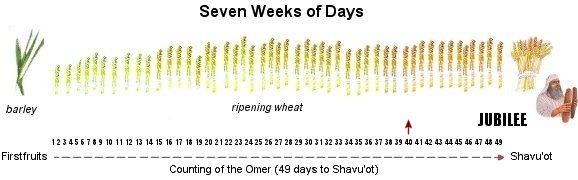 Seven Weeks of Days