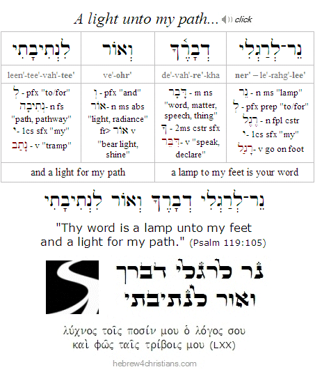 the-light-of-the-menorah-terumah