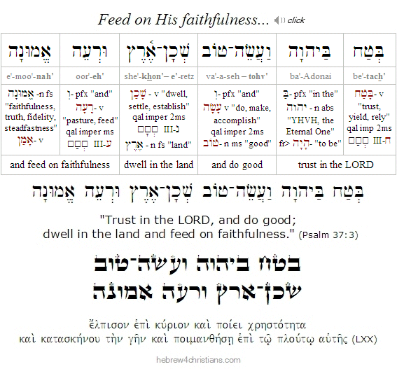 Psalm 37:3 Hebrew analysis