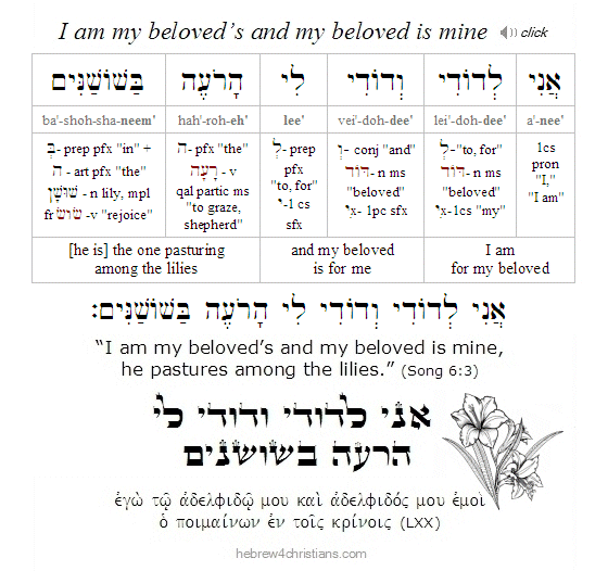 Song 6:3 Hebrew Reading Lesson