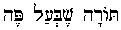 Torah Shebal Peh