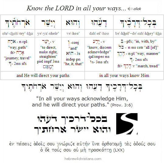 Proverbs 3:6 Hebrew Analysis