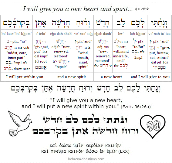 Ezekiel 36:26a Hebrew Analysis