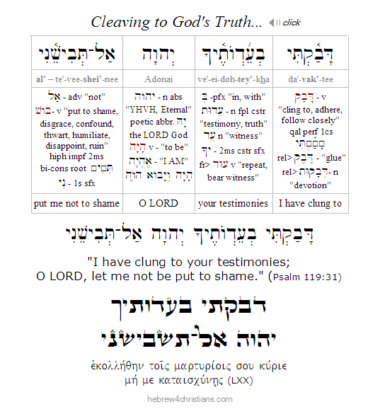 Psalm 119:31  Hebrew Analysis