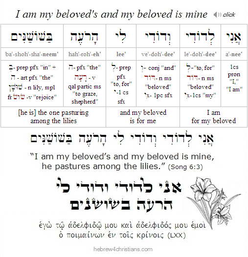 Song of Song 6:3 Hebrew Analysis