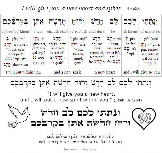 Ezekiel 36:26 Hebrew with LXX
