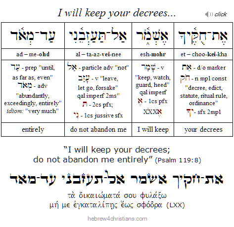 Psalm 119:8 Hebrew Analysis