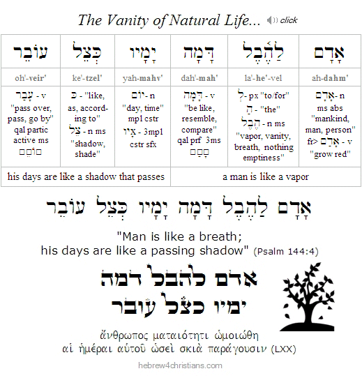 Psalm 144:4 Hebrew Analysis