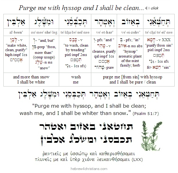 Psalm 51:7 Hebrew Analysis