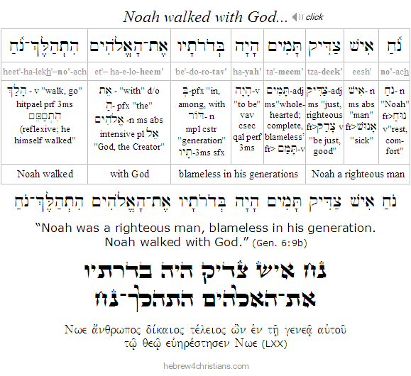 Genesis 6:9b Hebrew analysis