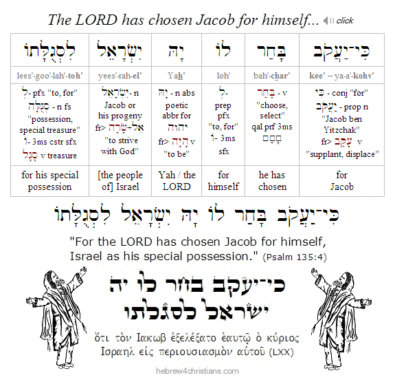 Psalm 135:4 Hebrew analysis