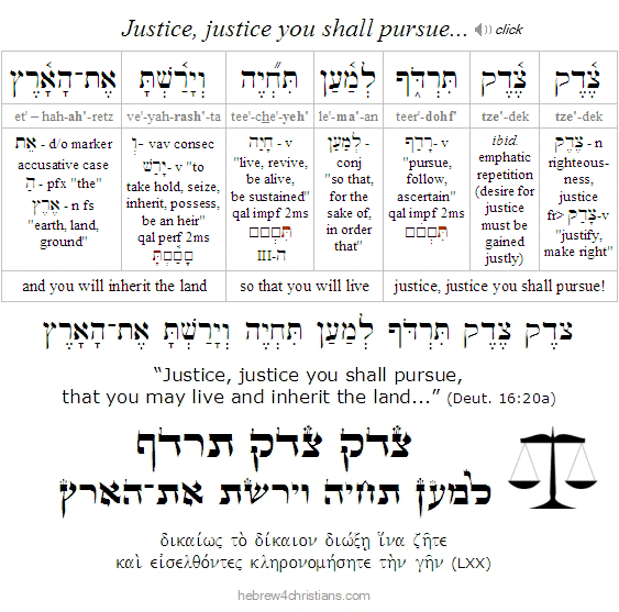 Deut. 16:20a Hebrew analysis
