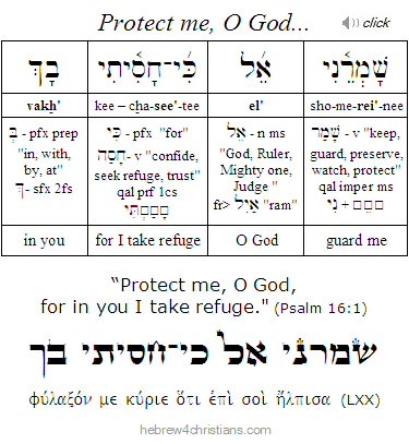 Psalm 16:1 Hebrew analysis