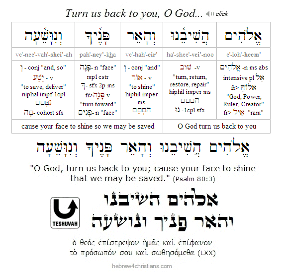 Psalm 80:3 Hebrew Analysis