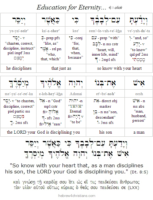 Deut. 8:5 Hebrew Lesson