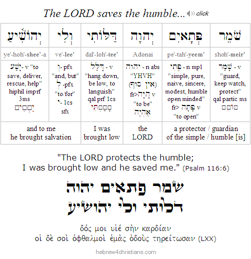 Psalm 116:6 Hebrew analysis