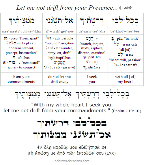 Psalm 119:10 Hebrew analysis