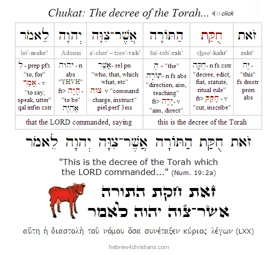 Numbers 19:2a Hebrew Analysis Chukat