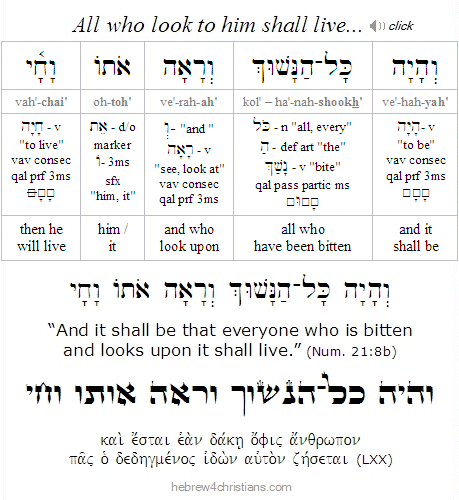 Numbers 21:8b Hebrew Analysis
