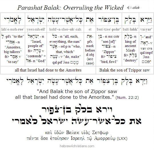 Numbers 22:2 Hebrew Analysis Balak