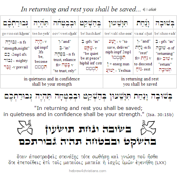 Isaiah 30:15b Hebrew Analysis