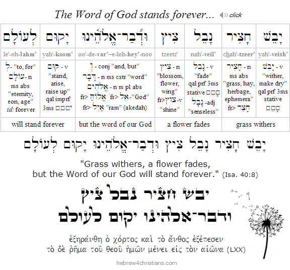 Isaiah 40:8 Hebrew Analysis