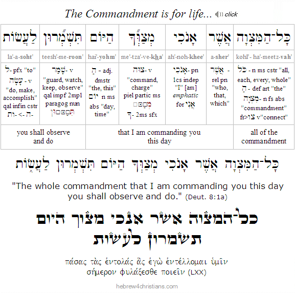 The Commandment is for life Hebrew analysis