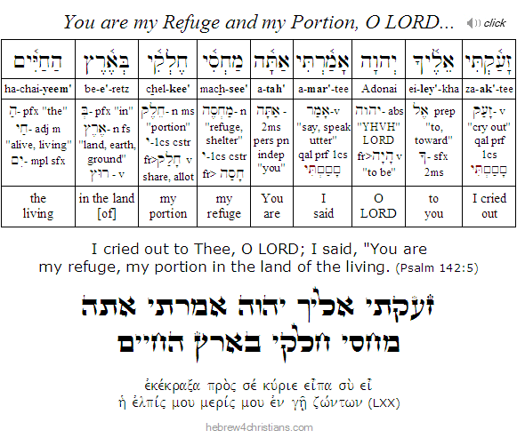 Psalm 142:5 Hebrew Analysis