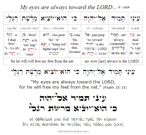 Psalm 25:15 Hebrew-English analysis