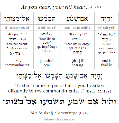 Deut. 11:13a Hebrew Lesson and drash