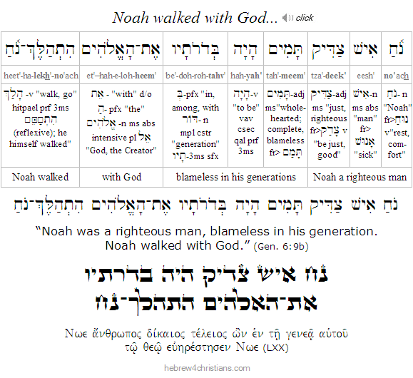 Genesis 6:9b Hebrew Lesson