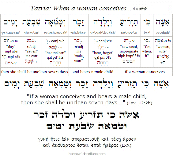 Lev. 12:2 Tazria Hebrew Lesson