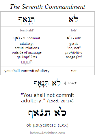 Exodus 20:12 Hebrew Lesson