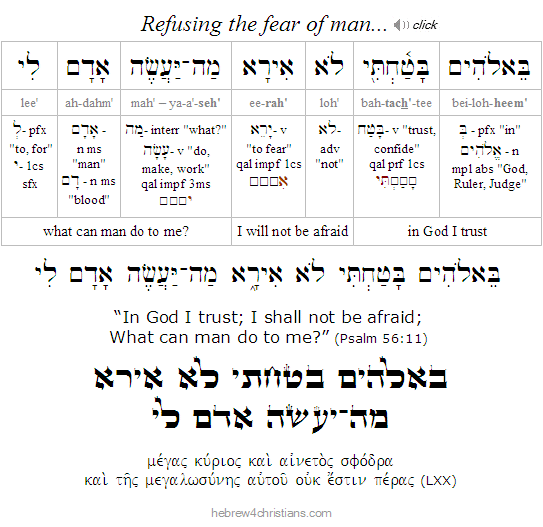 Psalm 56:11 Hebrew Lesson