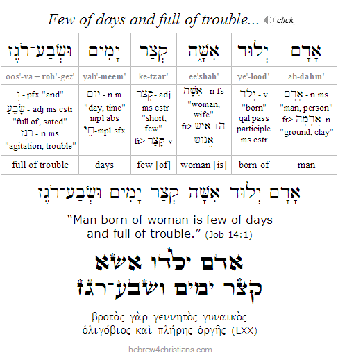 Job 14:1 Hebrew Lesson