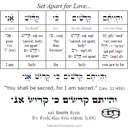 Lev. 11:45b Hebrew Lesson