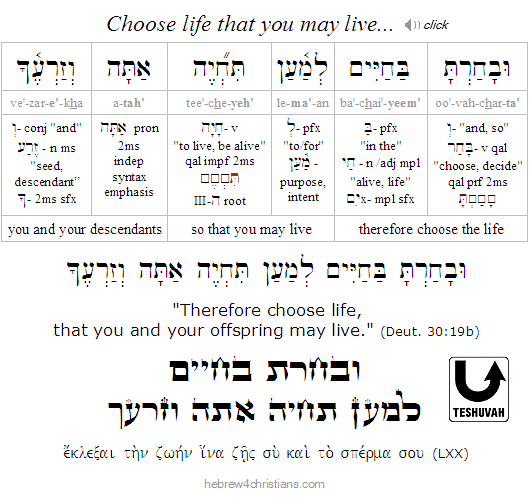 Deut. 30:19b Hebrew Lesson