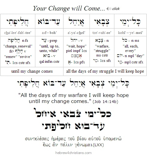 Job 14:14b Hebrew Lesson