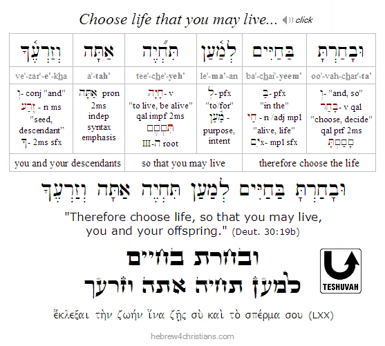 Duet. 30:19 Hebrew Lesson