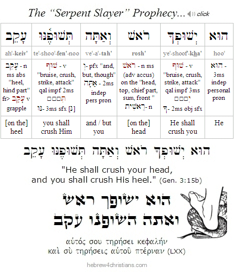 Gen. 3:15b Hebrew Lesson
