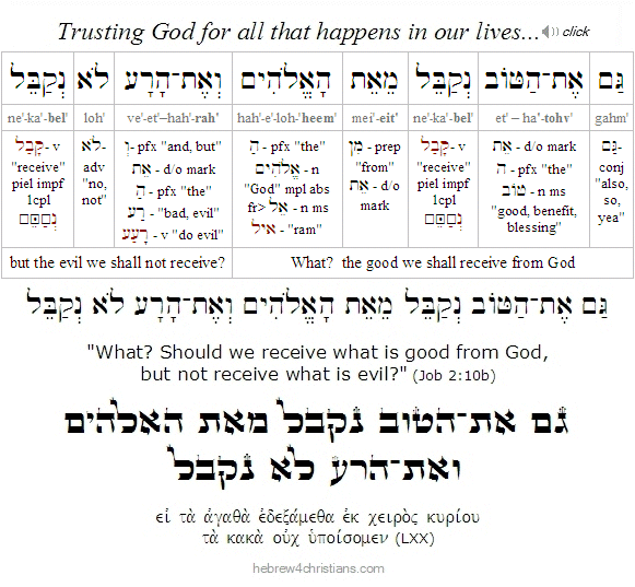 Job 2:10b Hebrew Lesson